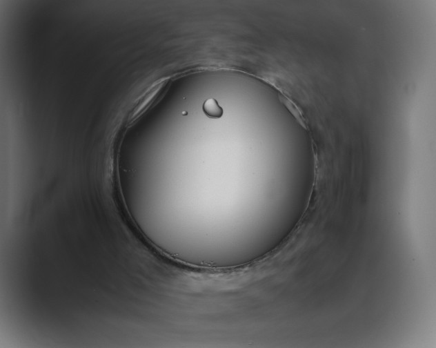 X0000089370005200706291255