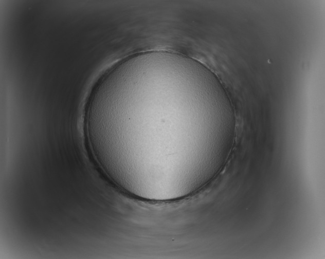 X0000089370006200706291255