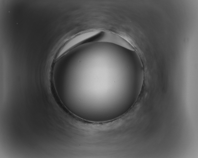 X0000089370007200706291255