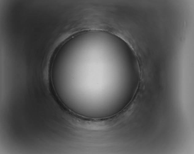 X0000089370008200706291255