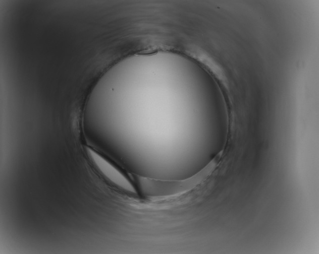 X0000089370009200706291255