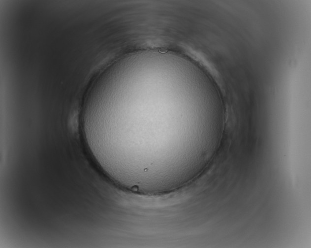 X0000089370010200706291255