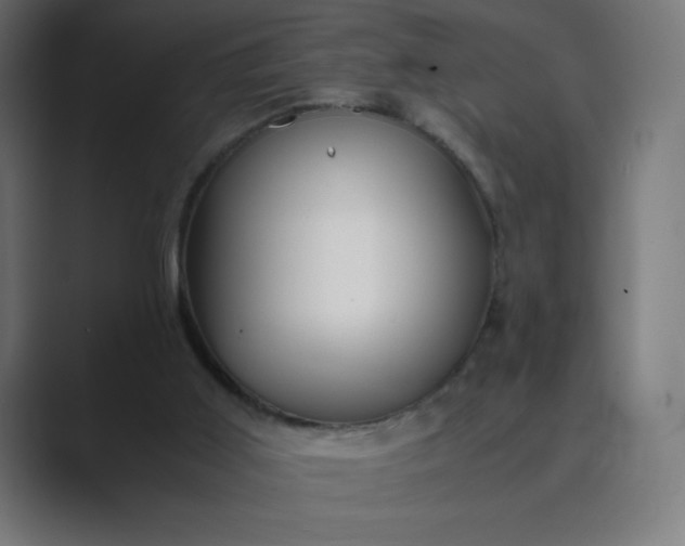 X0000089370011200706291255