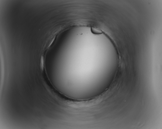 X0000089370013200706291255