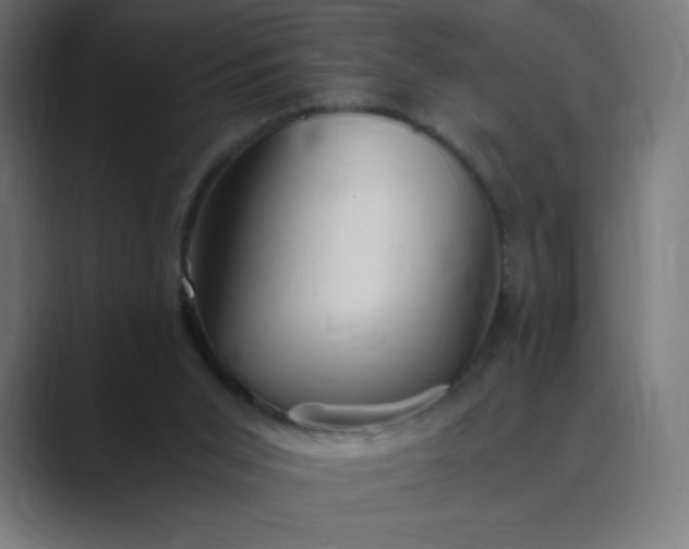 X0000089370015200706291255