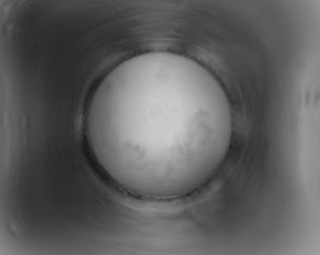X0000089370016200706291255