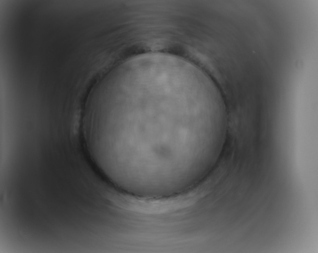 X0000089370018200706291255