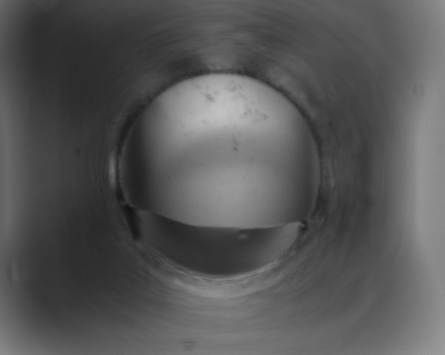 X0000089370019200706291255