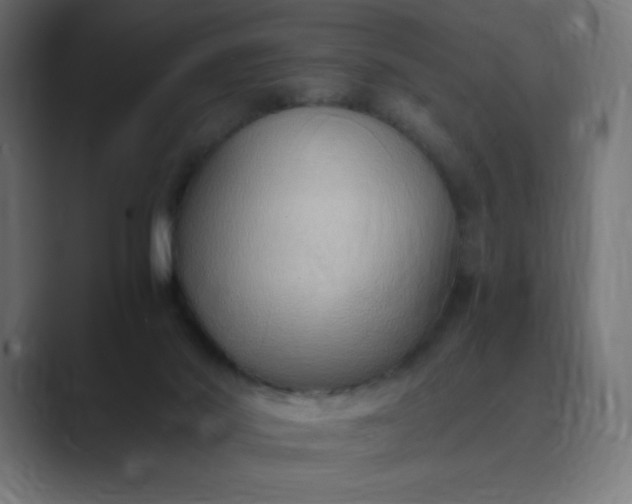 X0000089370022200706291255