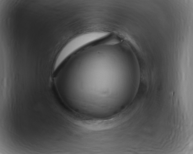 X0000089370023200706291255