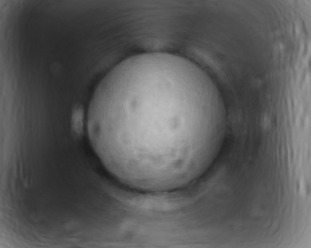 X0000089370024200706291255