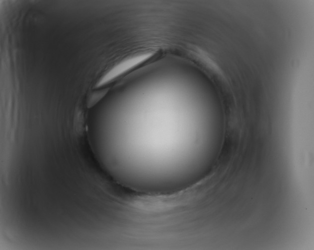 X0000089370025200706291255