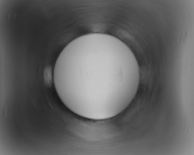X0000089370028200706291255