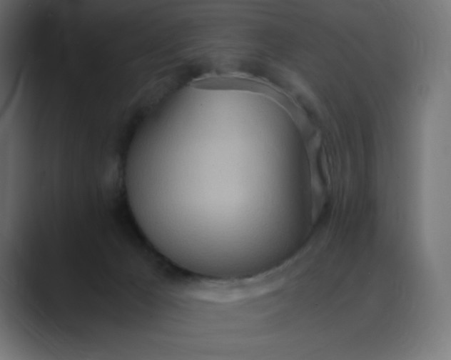 X0000089370029200706291255