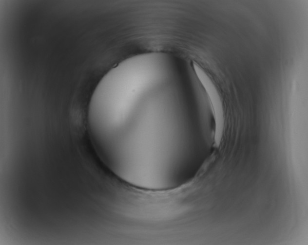 X0000089370031200706291255
