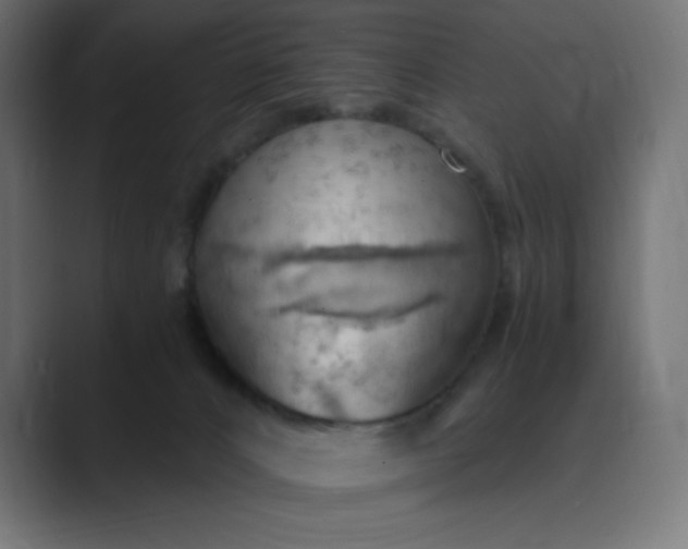 X0000089370032200706291255