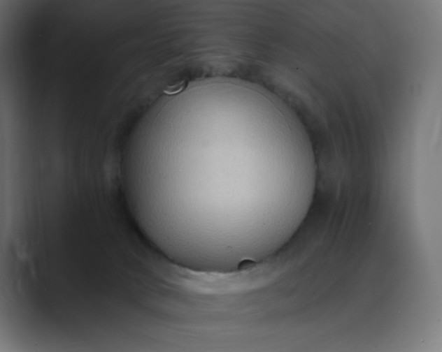 X0000089370034200706291255