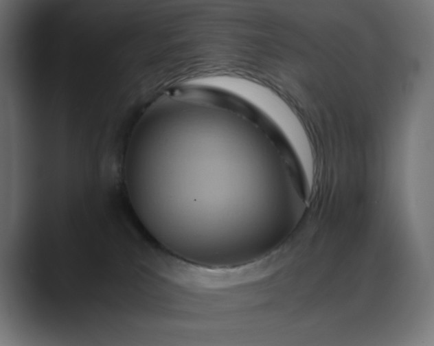 X0000089370039200706291255