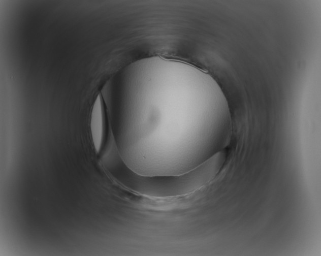 X0000089370041200706291255