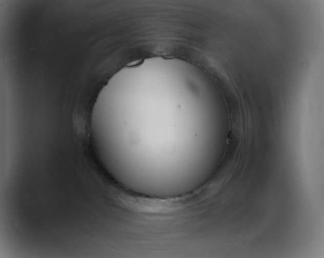 X0000089370044200706291255
