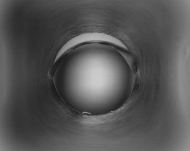 X0000089370045200706291255