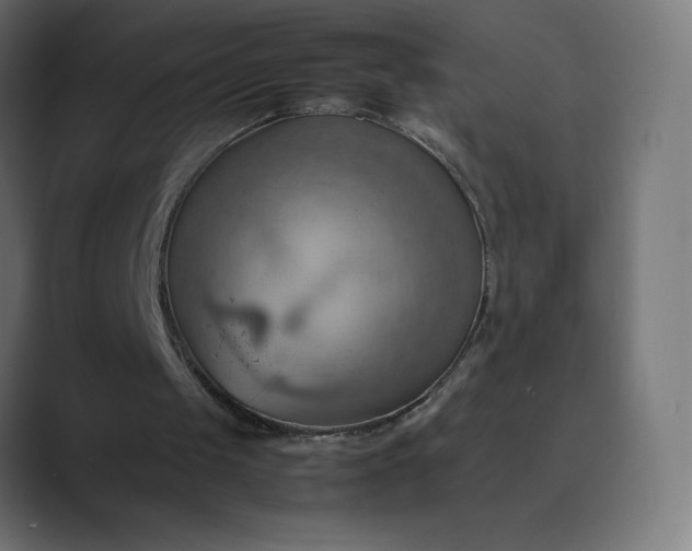 X0000089370049200706291254