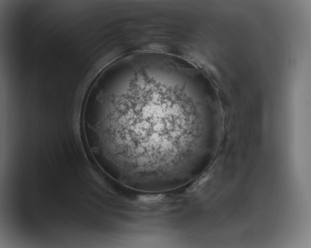 X0000089370051200706291254