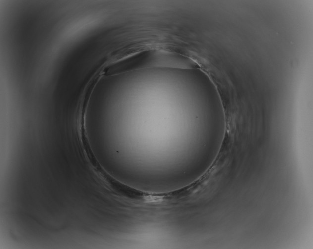 X0000089370052200706291254