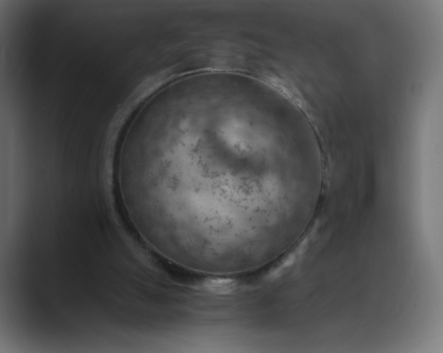 X0000089370055200706291254