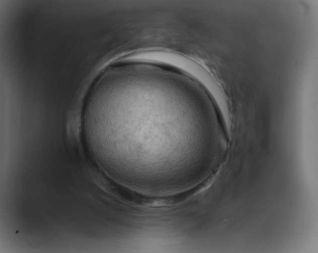 X0000089370056200706291254