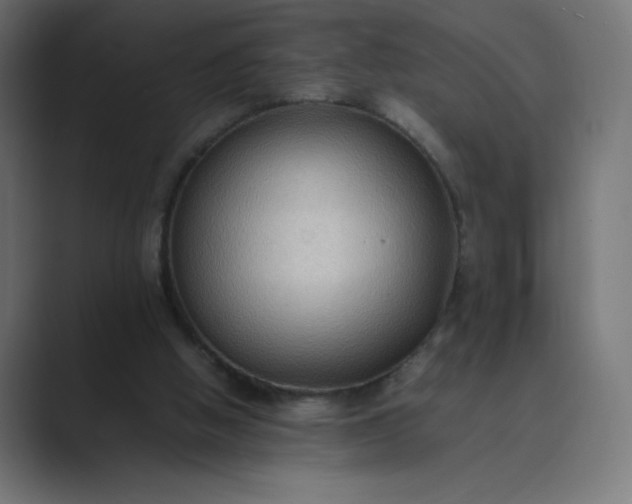 X0000089370058200706291254