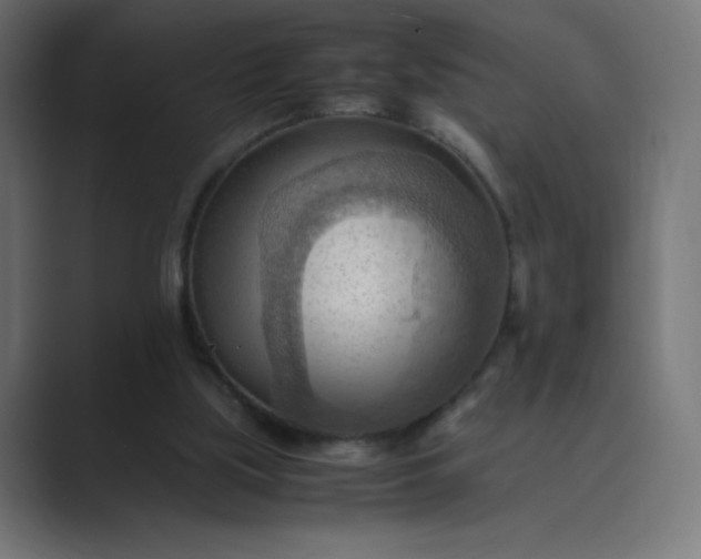 X0000089370059200706291254