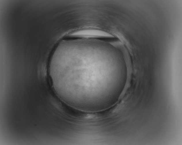 X0000089370060200706291254