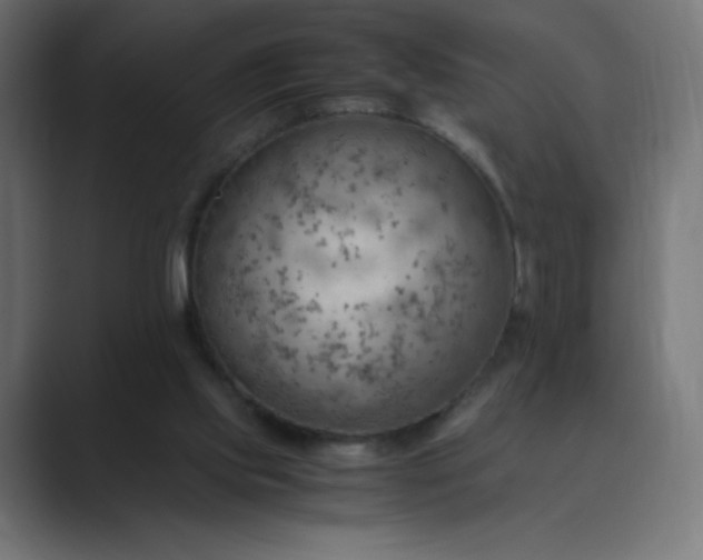 X0000089370061200706291254