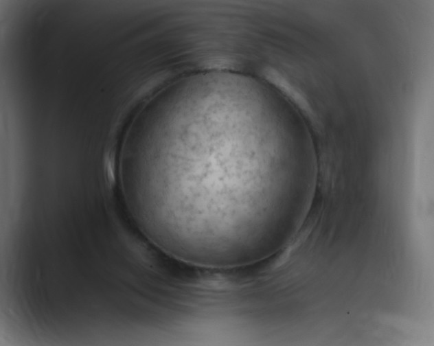 X0000089370062200706291254