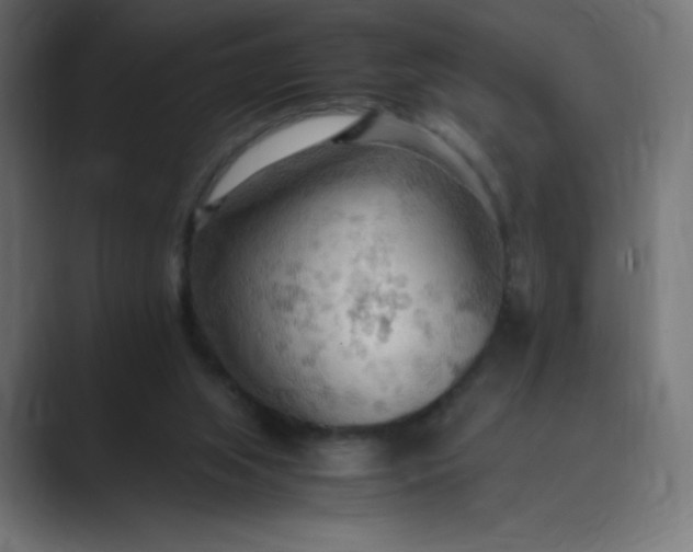 X0000089370063200706291254