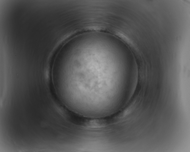 X0000089370064200706291254