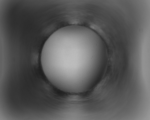 X0000089370066200706291254