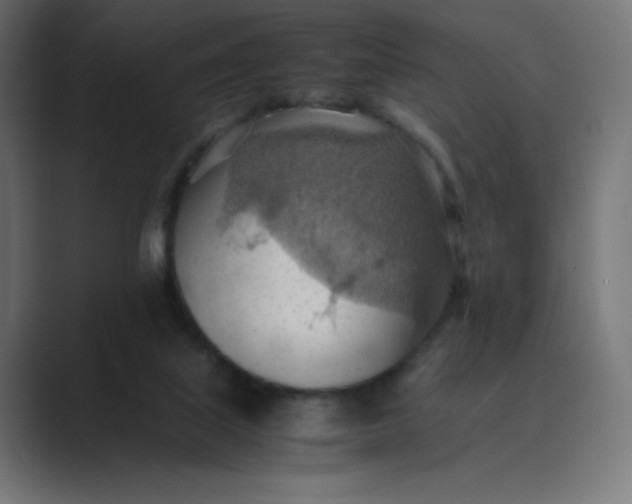 X0000089370067200706291254