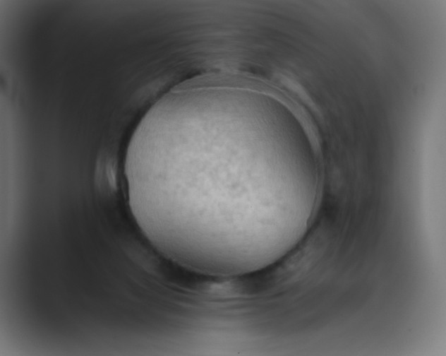 X0000089370068200706291254
