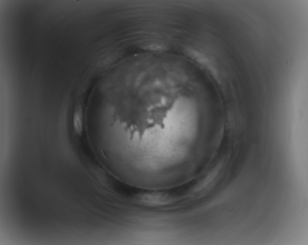 X0000089370069200706291254