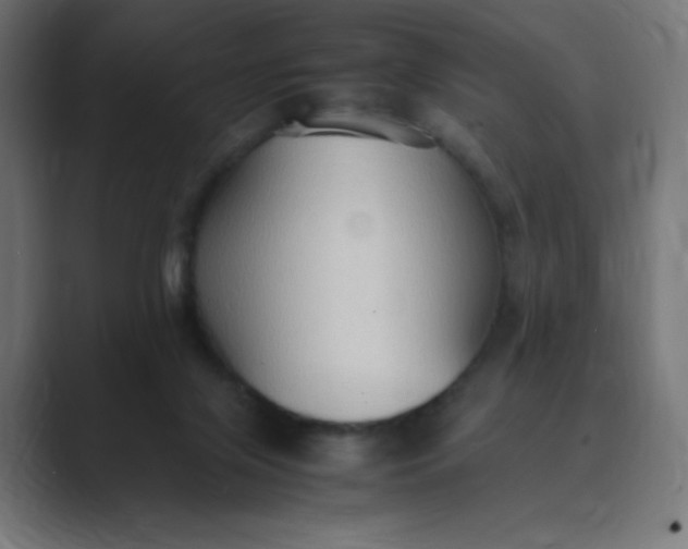 X0000089370071200706291254