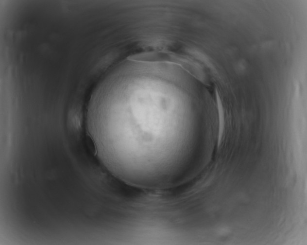 X0000089370072200706291254