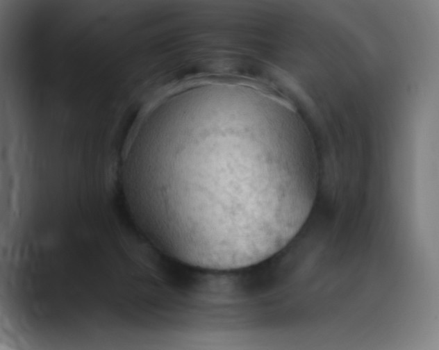 X0000089370073200706291254