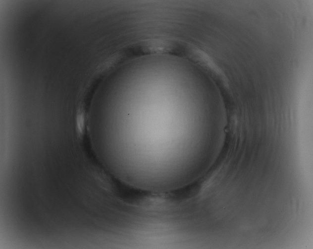 X0000089370076200706291255