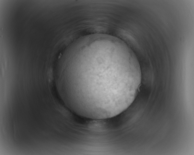 X0000089370077200706291255