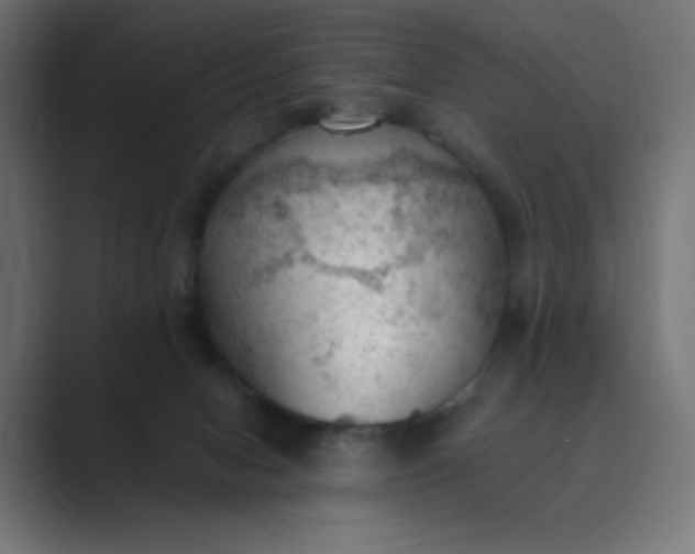 X0000089370078200706291255