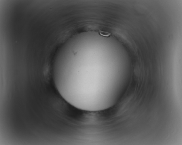 X0000089370079200706291255
