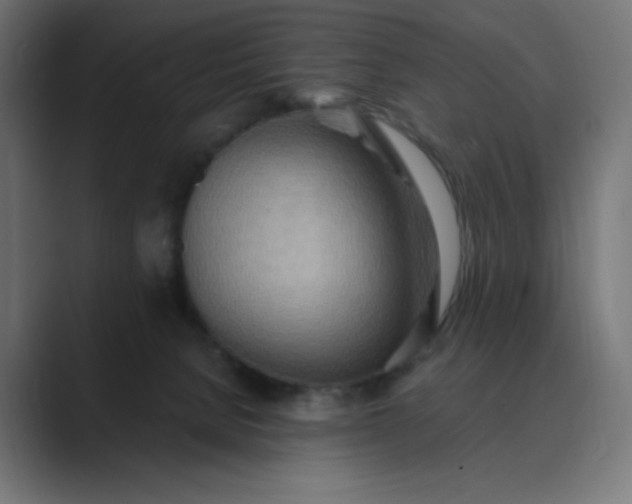 X0000089370080200706291255