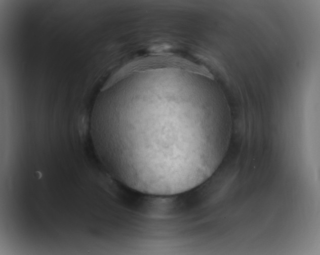 X0000089370081200706291255